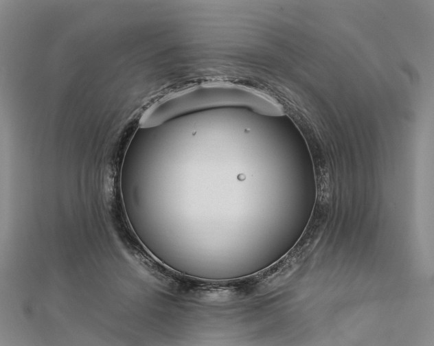 X0000113010456200909031317