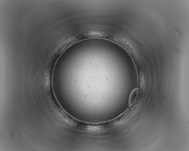 X0000113010457200909031317