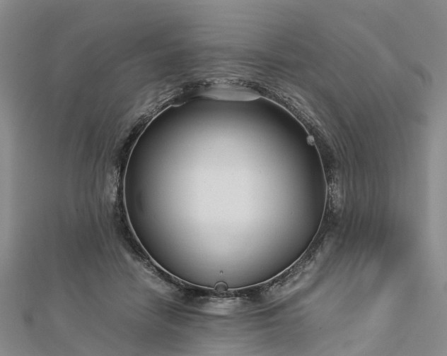 X0000113010458200909031317