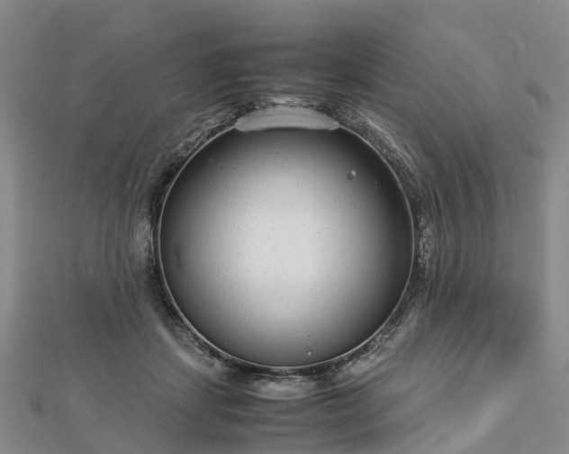 X0000113010459200909031317