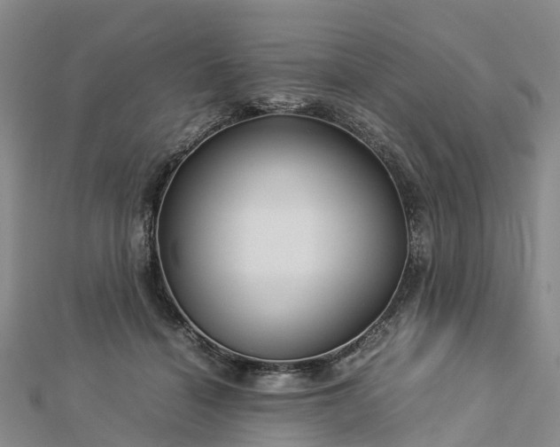 X0000113010460200909031317