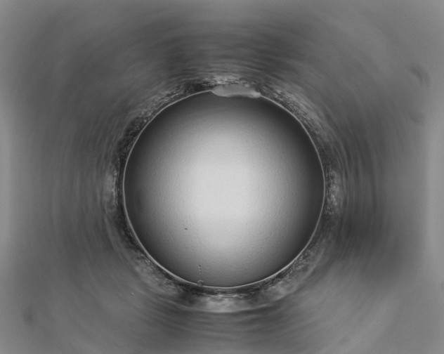 X0000113010461200909031317