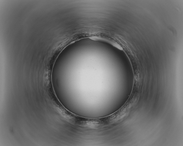 X0000113010462200909031317