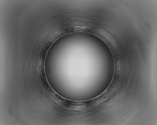 X0000113010463200909031317