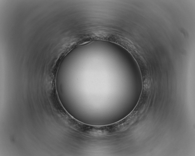 X0000113010464200909031317