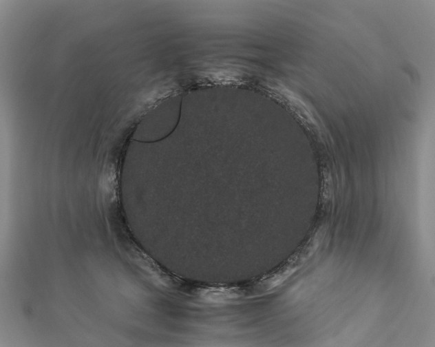 X0000113010465200909031317