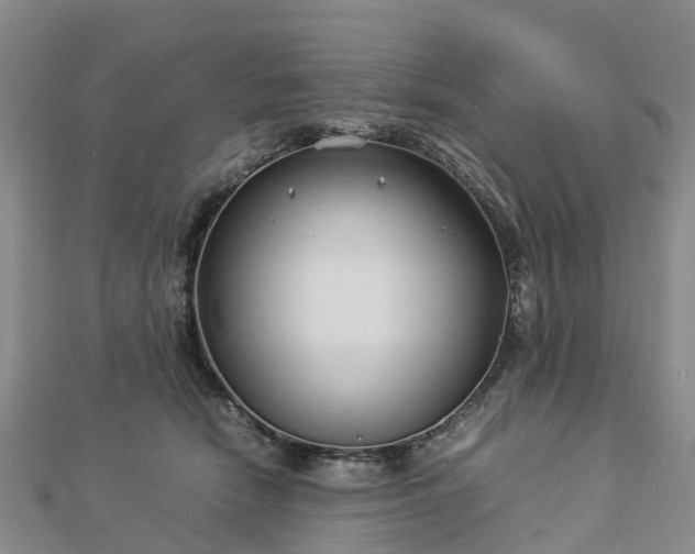 X0000113010466200909031317