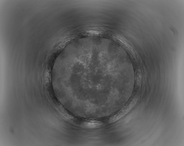 X0000113010467200909031317