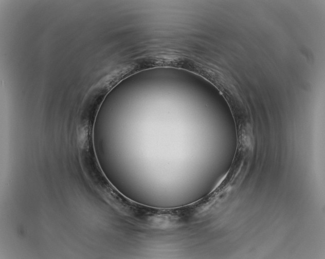 X0000113010468200909031317