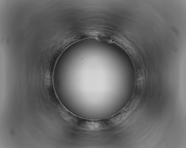 X0000113010469200909031317