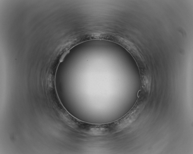 X0000113010470200909031317