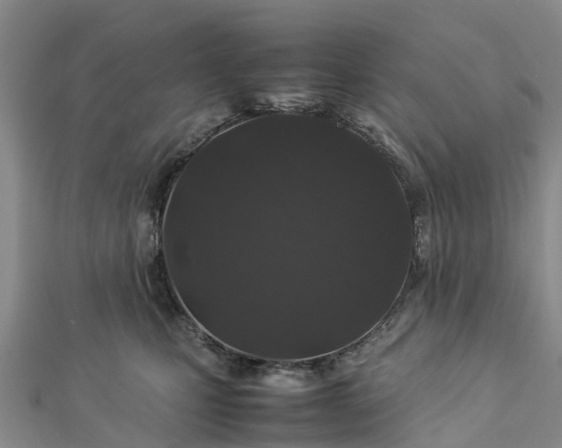 X0000113010471200909031317