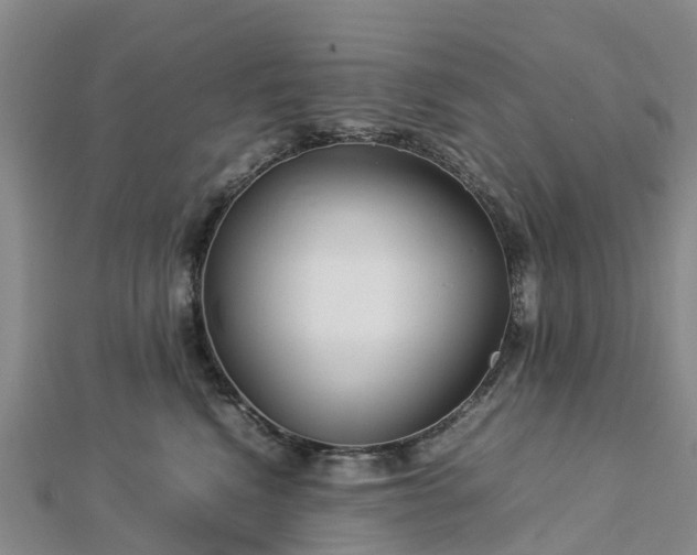 X0000113010472200909031317