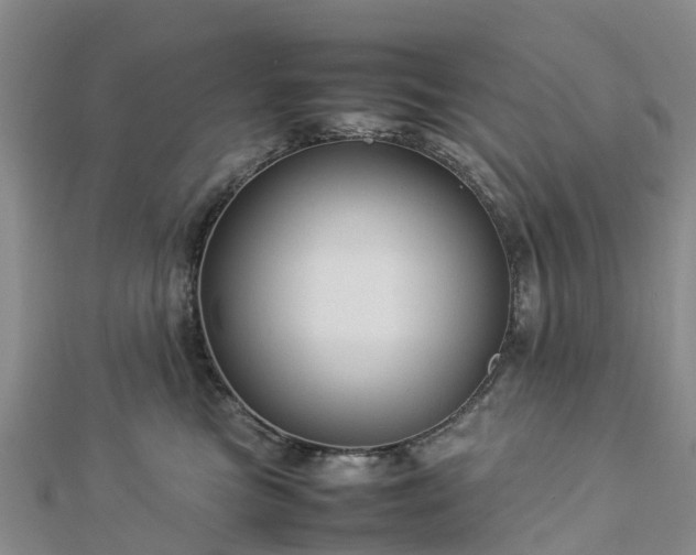 X0000113010473200909031317