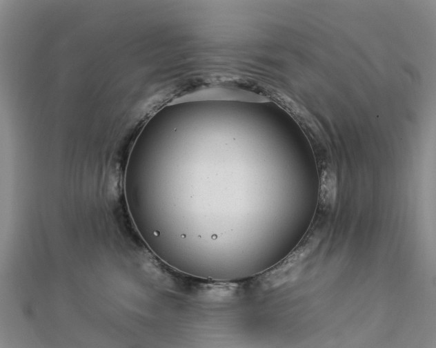 X0000113010474200909031317