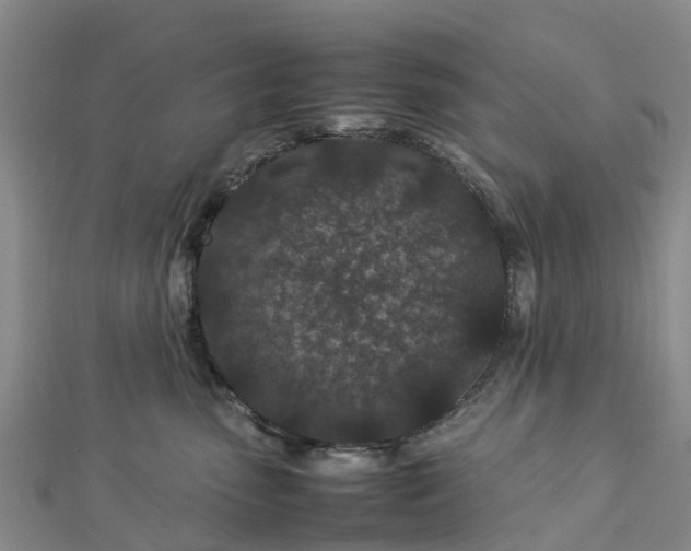 X0000113010475200909031317