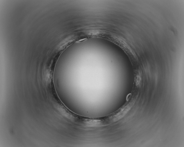 X0000113010476200909031317