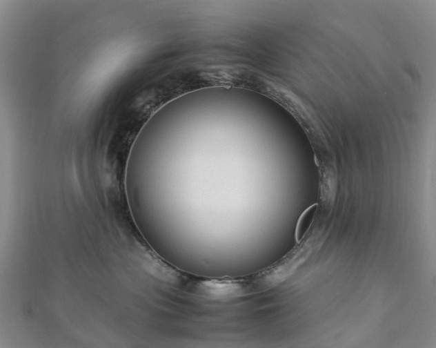 X0000113010477200909031317