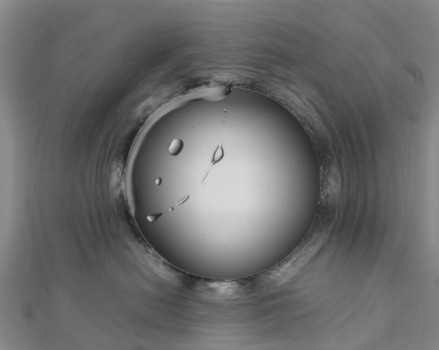 X0000113010478200909031317