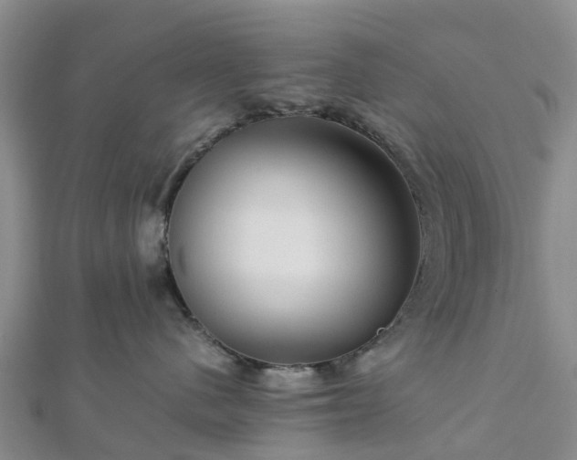 X0000113010480200909031317