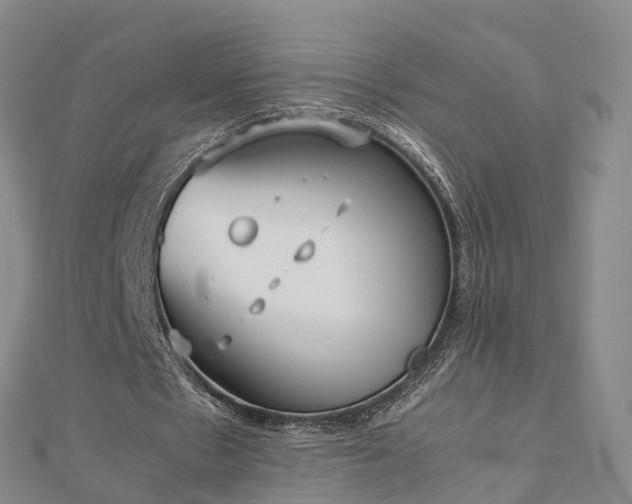 X0000113010481200909031317