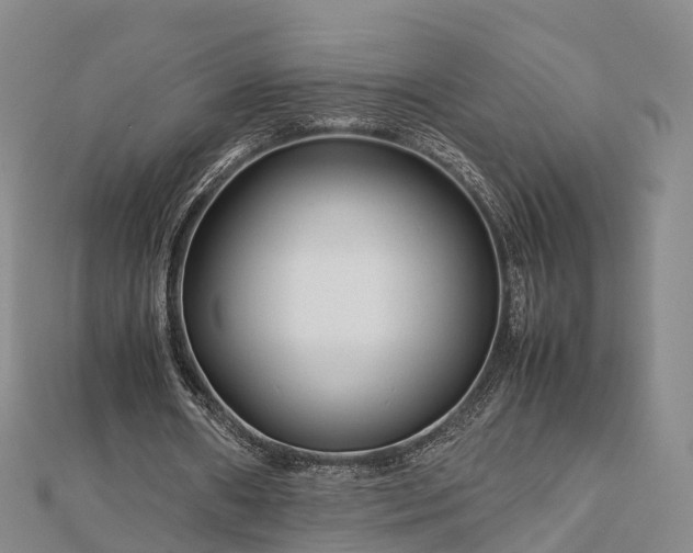 X0000113010482200909031317