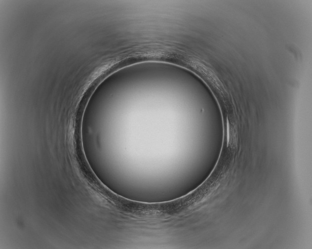 X0000113010483200909031317