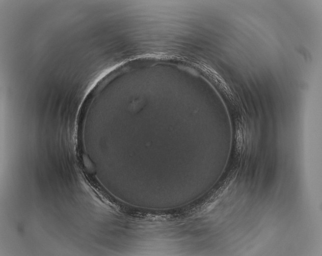 X0000113010484200909031317