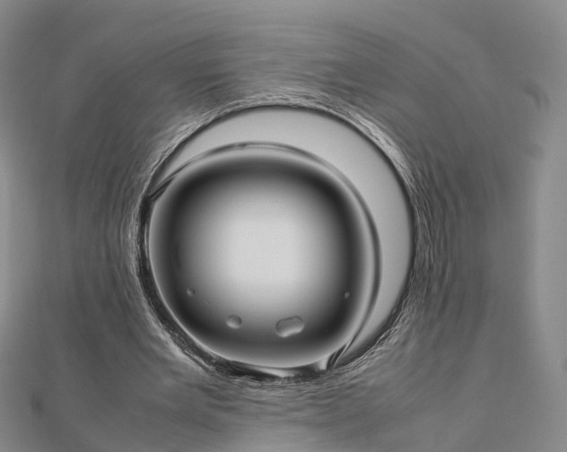 X0000113010485200909031317