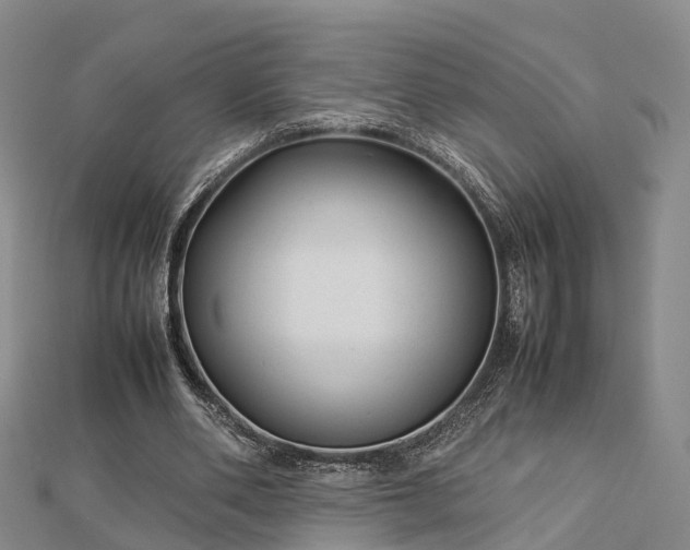 X0000113010486200909031317