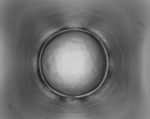 X0000113010487200909031317