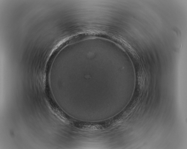 X0000113010488200909031317