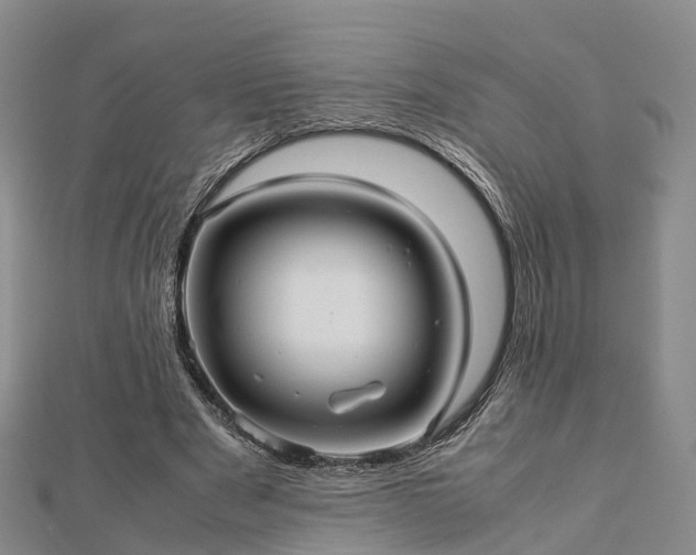 X0000113010489200909031317