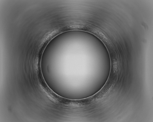 X0000113010490200909031317