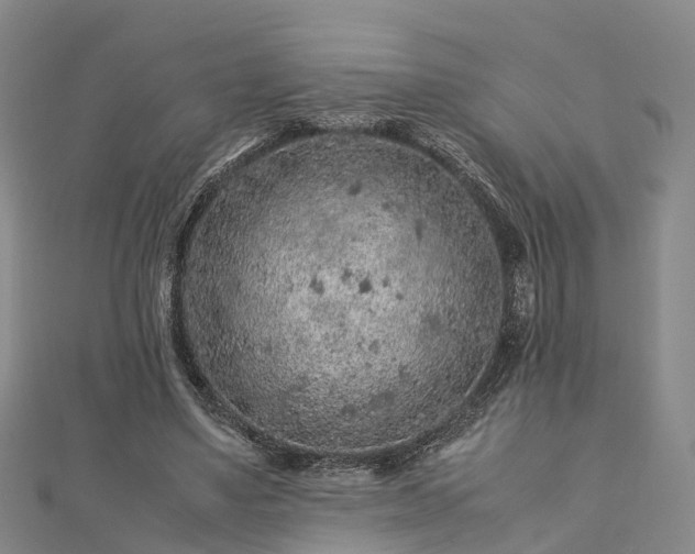 X0000113010491200909031317