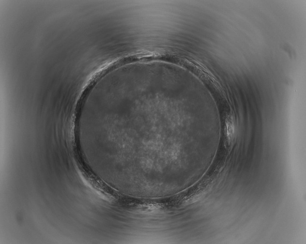 X0000113010492200909031317