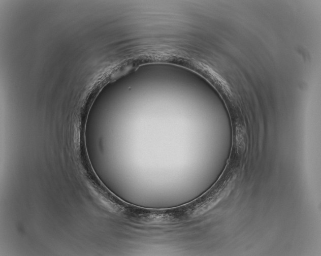 X0000113010493200909031317