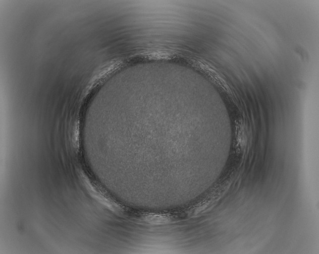 X0000113010494200909031317