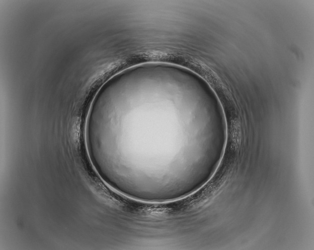 X0000113010495200909031317