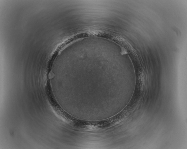 X0000113010496200909031317