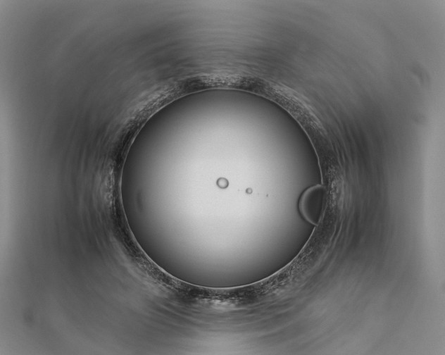 X0000113010498200909031317