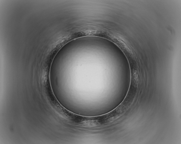 X0000113010499200909031317