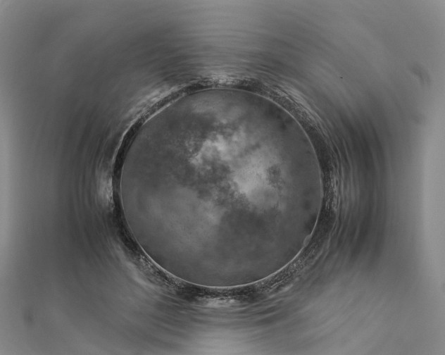 X0000113010500200909031317