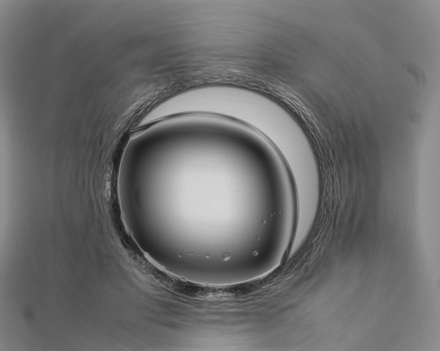 X0000113010501200909031317