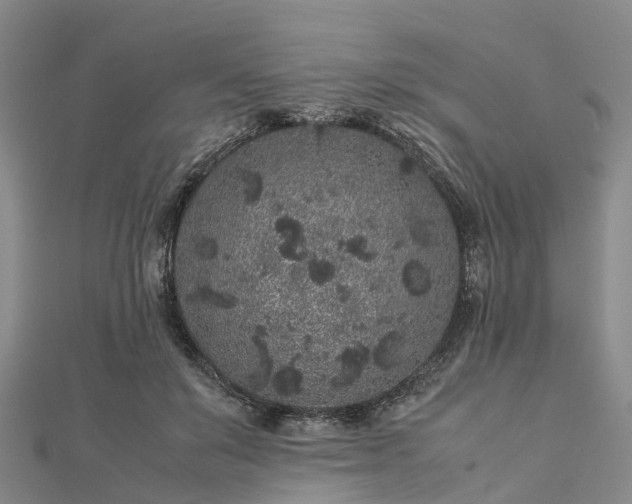 X0000113010503200909031317