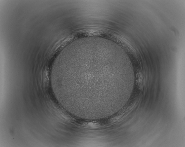 X0000113010506200909031317