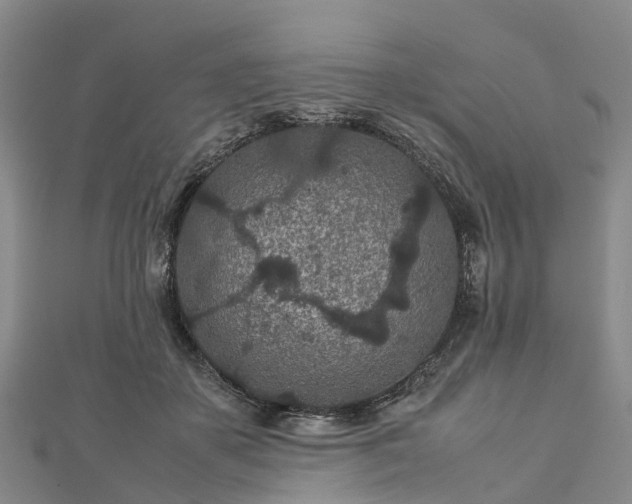 X0000113010507200909031317