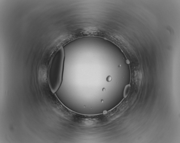 X0000113010508200909031317