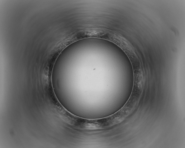 X0000113010510200909031317