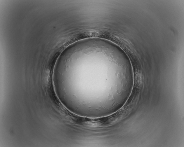 X0000113010511200909031316